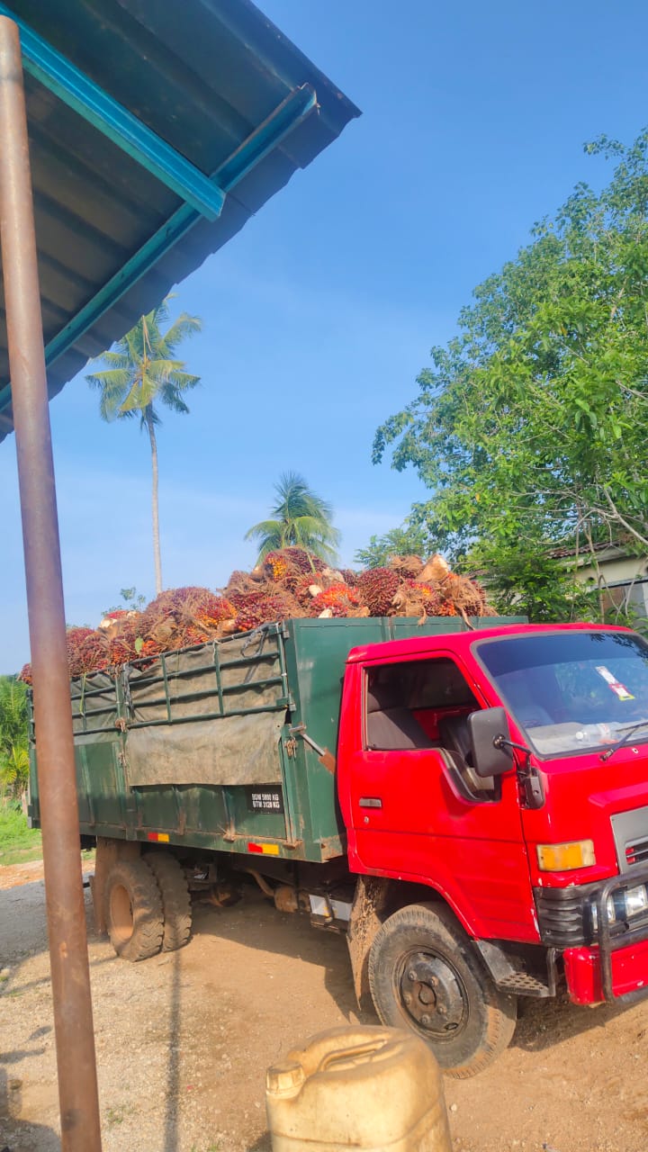 Puspa lorry transport