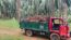 Puspa lorry transport