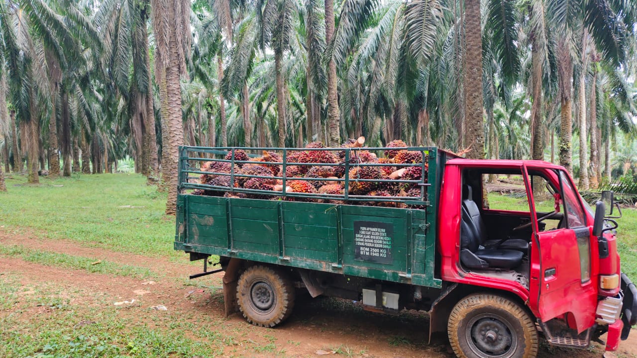 Puspa lorry transport
